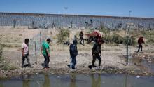 Migración