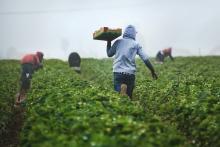 Encuesta Nacional Agropecuaria 2025