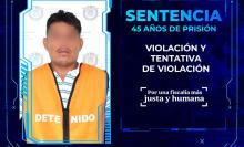 Cuando estaba a punto de consumar una nueva agresión un familiar abrió la puerta y descubrió lo que estaba ocurriendo