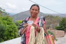 Pensión del bienestar