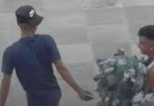 Caza palomas en el centro de Aguascalientes 