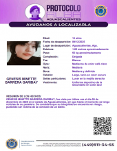 Ficha de búsqueda de Génesis Minette Barrera Garibay