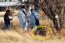 Al parecer intentaba robarse los cables de un poste de la CFE y sufrió una descarga