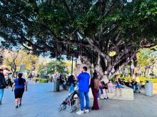 Hay una silla vacía en casa: Familias buscadoras cuelgan ‘esferas’ con fotografías de personas desaparecidas
