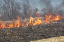 Incendios incrementaron hasta en 63% durante navidad; autoridades prevén alza para fin de año