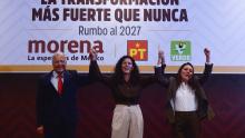 PT, Morena y Partido Verde