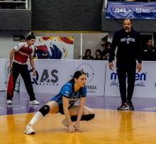 Gigantes de Aguascalientes