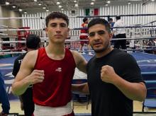 Grand Prix Elite de Box 2026