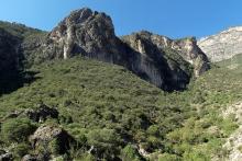 Cañón de San Lorenzo