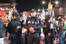 Seguridad en la FNSM