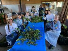 Movilidad de Aguascalientes