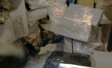 Las 9 mil pastillas psicotrópicas fueron aseguradas por la Policía Estatal y puestas a disposición de la FGR