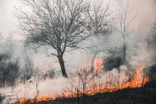 Suman más de mil incendios provocados en Aguascalientes desde octubre: Protección Civil