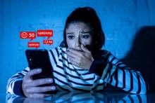 Delitos cibernéticos 