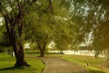 Así será el Festival Actívate en Gigante este sábado en el Parque Cedazo