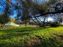 Desarrollo Especial La Pona 