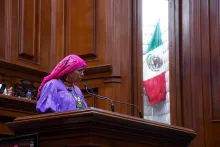 Diputada Irma Reza de la Cruz