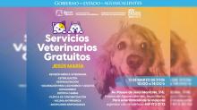 Servicios Veterinarios