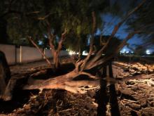 Estragos del viento en Aguascalientes