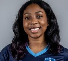 Gigantes de Aguascalientes