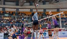 Gigantes de Aguascalientes