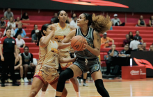 PANTERAS VS CALOR DE CANCÚN