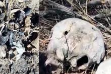 Presunto campo de exterminio hallado en Reynosa