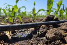 Se tecnificaron 285 hectáreas del Distrito de Riego 001 de Aguascalientes