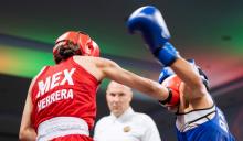 Copa del Mundo de Boxeo, Brasil 2026