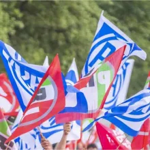 Alianza Política