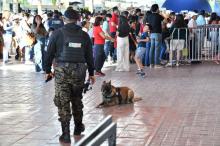 Grupo K-9 