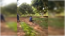 Violencia en Michoacán 
