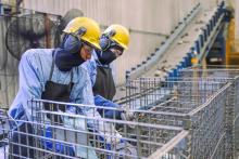 Crece el empleo en Aguascalientes: se acumulan más de cuatro mil puestos de trabajo en 2026
