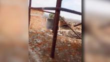 Caso de zoofilia en la comunidad Santa Elena de la Cruz