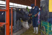 Aguascalientes refuerza acciones de prevención y vigilancia sanitaria en el ganado