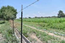 Pequeños productores podrán acceder a apoyos para comprar equipamiento agrícola