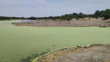Presa Los Parga