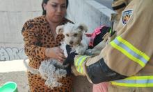 El can permanecía dentro de uno de los pilares del bordo Santa Elena; vecinos alertaron a los cuerpos de emergencia