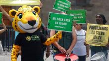 Ruta del Jaguar