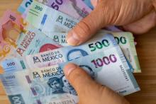 Falta de utilidades en sector automotriz obedece a grandes inversiones: SEDECyT