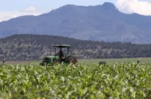 tasas de créditos para el campo