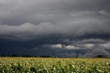 Incrementa promedio de lluvias en la entidad; campesinos favorecidos por llenado de presas
