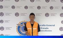 ladrón domicilio 