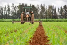 Condiciones del campo