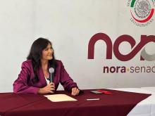 Segundo Informe Legislativo