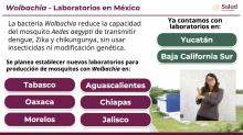 Federación establecerá laboratorio de mosquito estéril contra dengue en Aguascalientes 