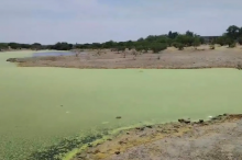 Contaminación en Presa Los Parga 