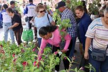 Entregan árboles y plantas