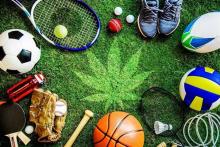 Deportes