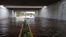 Postes y árboles caídos, vehículos varados y vialidades cerradas: los estragos de las lluvias de ayer en Aguascalientes